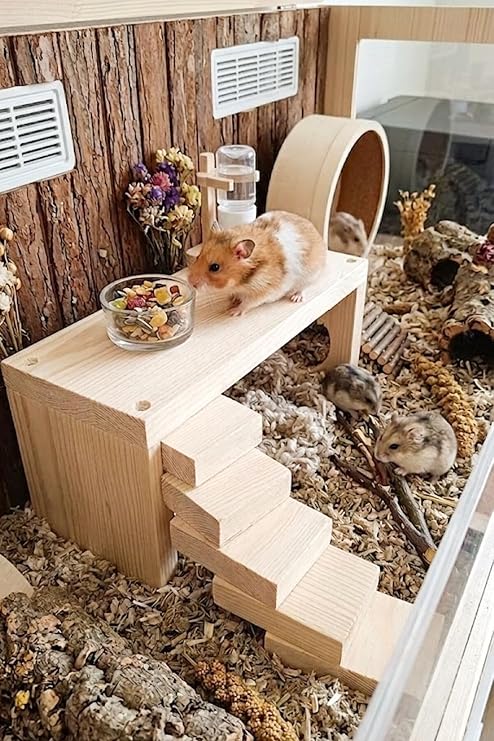 Doğal Ahşap Hamster Platformu & Oyun Alanı 25x11x10 cm - Kemirgen Ara Kat Yuvası