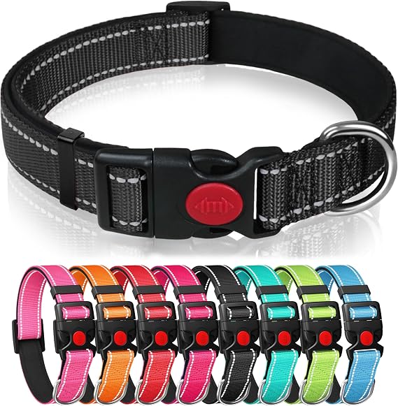 Reflective Nylon Dog Collar with Safety Buckle, Black, S