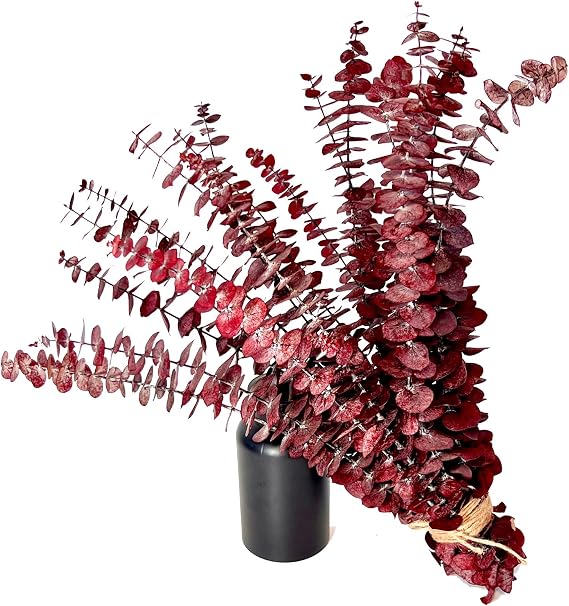 (20pcs) Dried Eucalyptus Stems - Red, Autumn Home Decorations, Real Long Eucalyptus, Dried Flowers for Vase, 18 Inch Floral Arrangement, Wedding