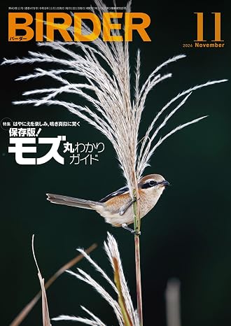 Birder（バーダー）2026年11月号　保存版！モズ丸わかりガイド