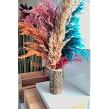 Mixed Decorative Natural Barelet Potted, Event, Wedding & Entertainment Table Ornament & Decor