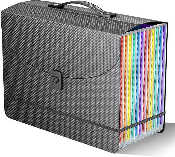 File Organiser Document Organiser Box Files Folder with Handle,13 Pockets Document Folders for Paperwork A4,Concertina File Expanding Filing Box A4 Folder,Paper Receipt and Bills Organiser, 2 x Tabs