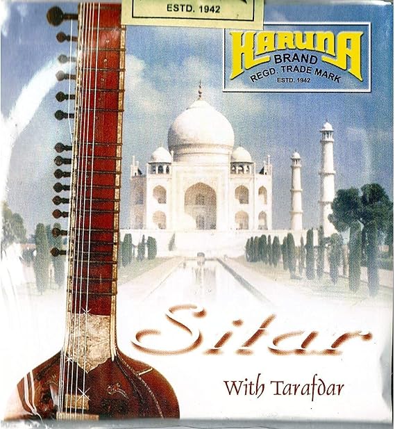 Terrapin Trading Full Set of 18 Indian Sitar Strings
