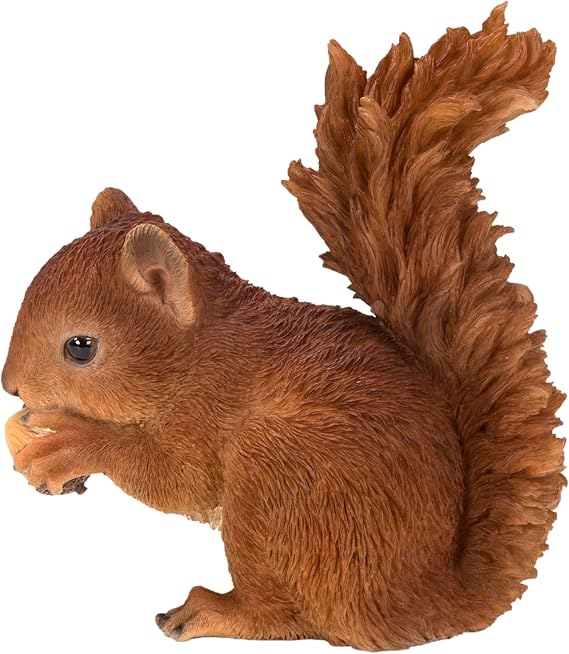 Real Life Baby Red Squirrel | Resin Home or Garden Decoration | XRL-RS01-F