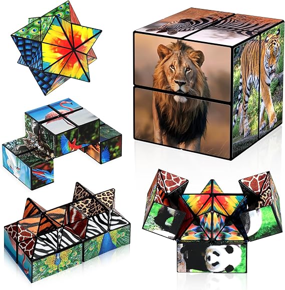 Euclidean Cube Fidget Toys for Kids 2 in 1 Fidget Cube Star Cube Puzzle Toy