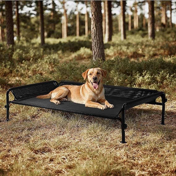 Gardner Pet Elevated Dog Bed with Guardrail & Breathable Mesh, Black
