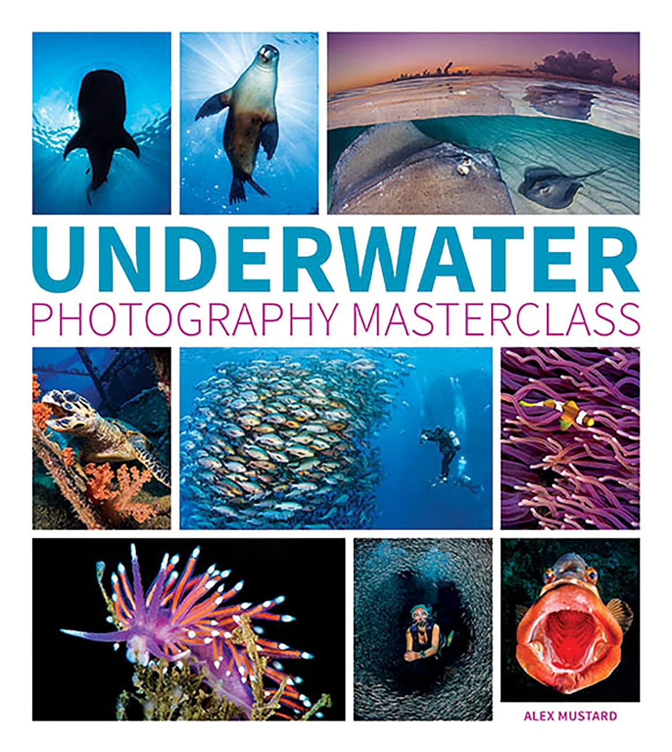 Underwater Photography Masterclass Paperback – 7 April 2016