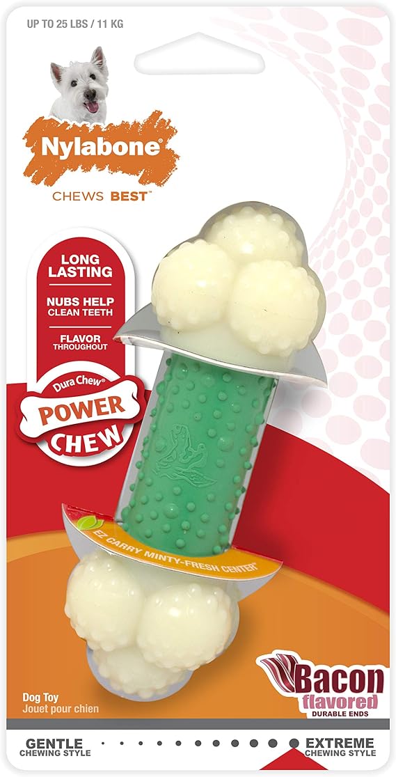 Nylabone Double Action Dog Chew Regular