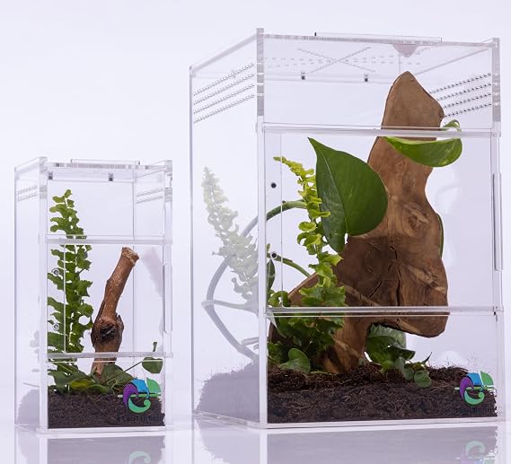 Exo Terra Jumping Spider Enclosure - Terrarium Kit with Accessories, Snail Habitat & Bug Terrarium