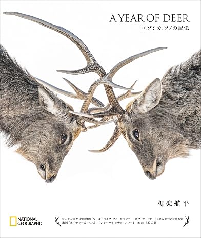 A Year Of Deer　エゾシカ、ツノの記憶