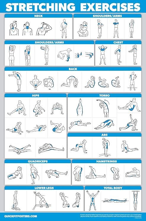 QUICKFIT Stretching Workout Exercise Poster - Double Sided (Laminated, 18" x 24")