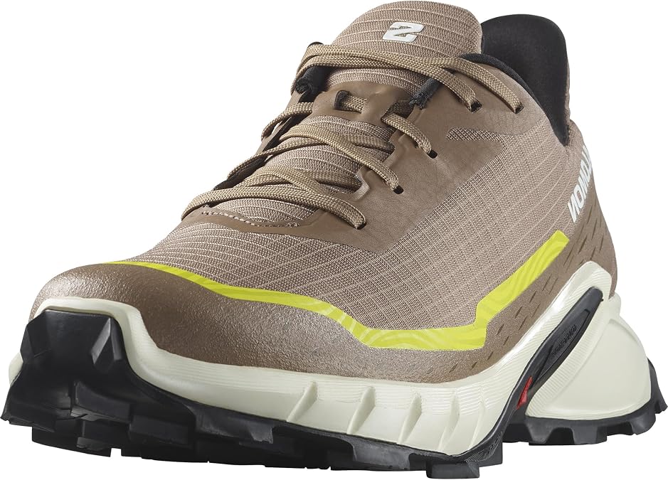Salomon Men's Alphacross 5 GTXLAUF/Fitness Shoes