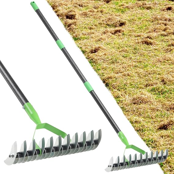 Thatch Rake, Garden Dethatcher Rakes for Lawns Heavy Duty, Metal Thatcher with Double-Sided Sharp Rake Head for Dead Grass Moss Remove, Loosen Soil, 53" Manual Thatching Tool for Gardening, Yard