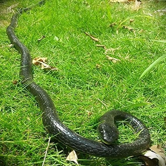 47 Inches Rubber Lifelike Snakes Scary Gag Gift Incredible Rain Forest Wild Life Snake Toy