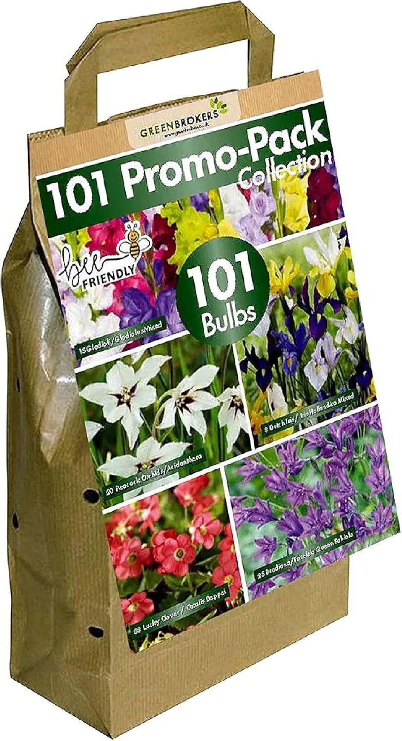 101 Promo Pack Collection Summer Flowering Bulbs, Mixed Colours 101 Bulbs, 5 Different Varieties "Bee & Butterfly Friendly"