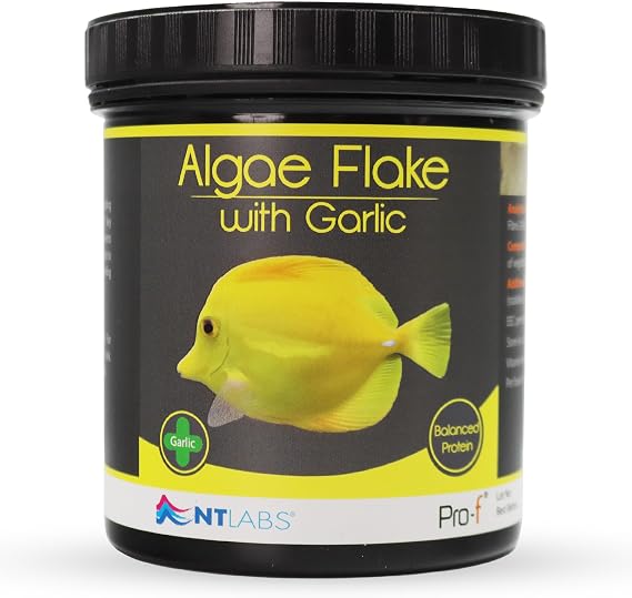 NT Labs Pro-f Algae Flake With Garlic Marine Fish Food (30g)