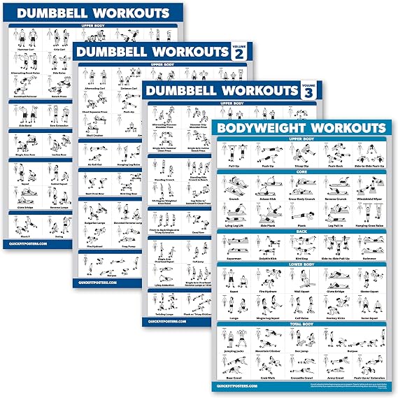 Palace Learning 4 Pack - Dumbbell Workout Posters Volume 1, 2 & 3 + Bodyweight Exercise Chart - Set of 4 Posters (LAMINATED, 18" x 24")