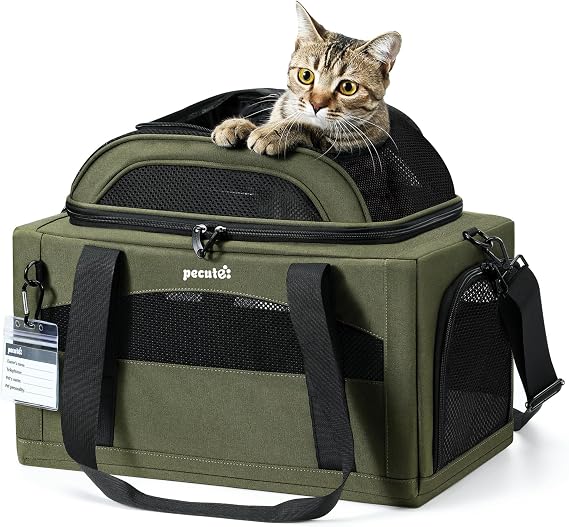 Pecute Large Cat and Dog Expandable Airplane Carrier - Green