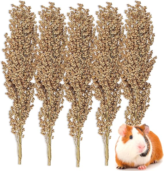 Sukh Natural Hamster Spray - 5 Pcs Natural Sun Dried Red Solgum Granules, Flowers & Herb Stems Cage Habitat Bedding Decor Décor Dwarf Hamster, Snammebil, Mouse, Cockatiel