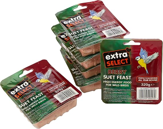 Extra Select Berry Suet Blocks for Wild Birds, 6 x 320g