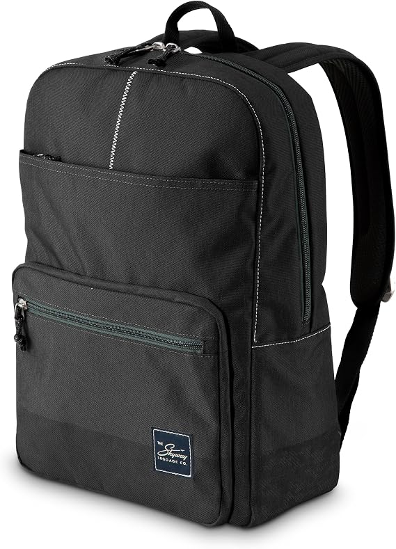 Skyway Luggage Rainier Backpack, Eco-Friendly, Made of 100% rPET Travel Laptop Bag for Women & Men