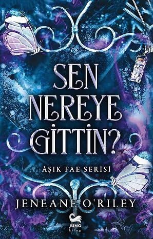 Sen Nereye Gittin ?