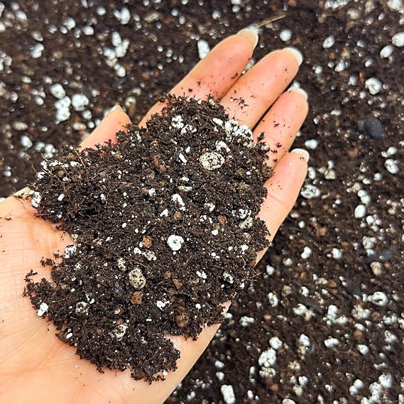 Bonsai Soil Mix with Mycorrhizal Fungi, Mealworm Frass & Neem (1L)