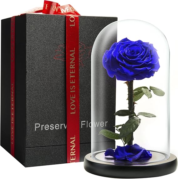 Preserved Forever Rose in Glass Dome - Beauty and the Beast Romantic Gifts for Her - Eternal Rose Preserved Flowers - Preserved Rose Mother Gifts - Mum Birthday Gifts for women (Blue, 23 cm)