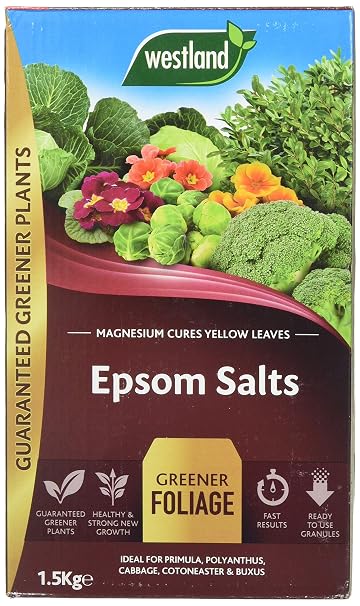Westland 20600007 1.5 kg Epsom Salts Foliage Greener Fertilizer - Transparent