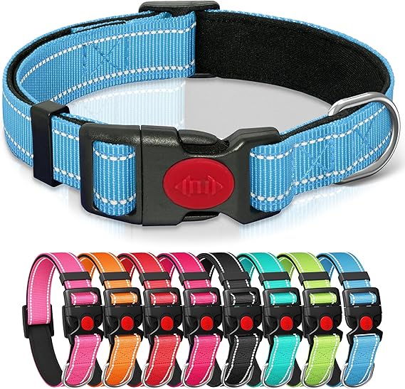 Reflective Nylon Dog Collar with Safety Buckle, Light Blue, M