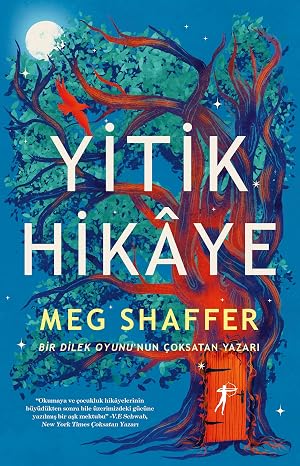Yitik Hikaye