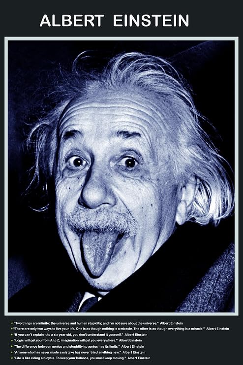 laminated ALBERT EINSTEIN funny new tongue out peace quotes wisdom poster wall chart