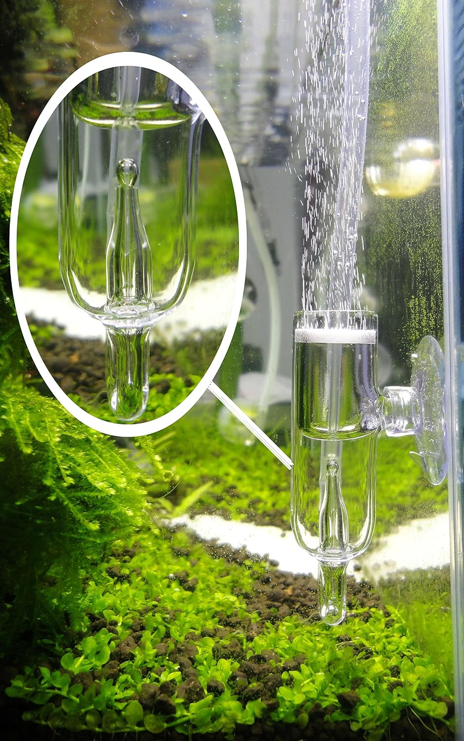 Glass CO2 Diffuser, Bubble Count Diffuser