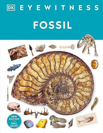 Fossil: DK Eyewitness