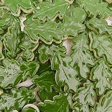 Wavy Leaf-Shaped Ceramic Mosaic Tiles,500g/1.1lb Ceramic Mosaic Pieces for Home Decoration or DIY Crafts,Mosaic Puzzle or Mosaic Making Supplies. (Dark Green)