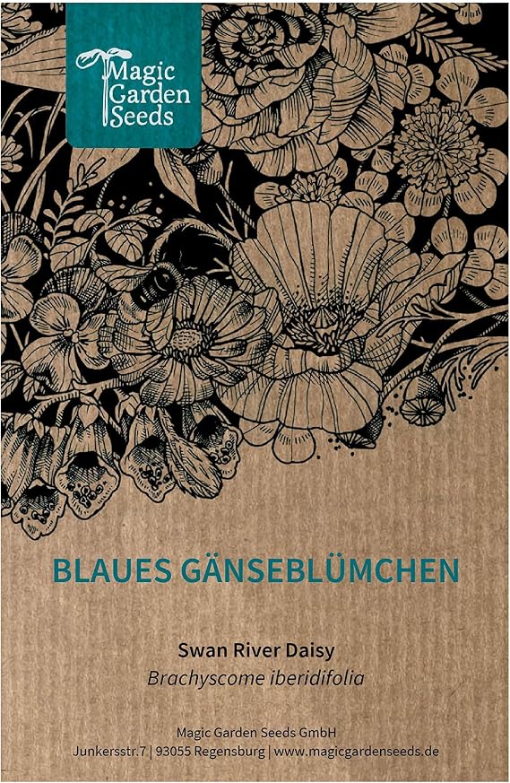 Blue Daisy (Brachyscome iberidifolia) Approx. 500 Seeds of Annual Balcony Flower Permanent Flowering Pot Plant Summer Flower