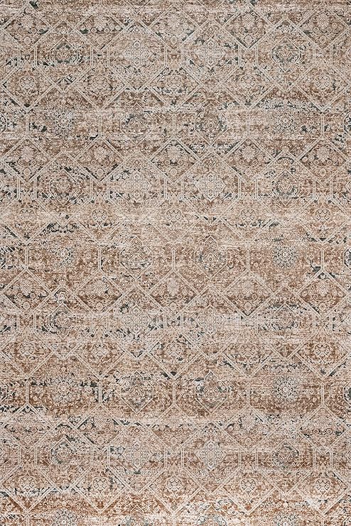 Kahverengi Soyut Kaymaz Makinede Yıkanabilir Halılar Oturma Odası Yatak Odası Koridor Boho Fas Yumuşak Nötr Vintage Görünüm Geometrik Bohem Halı Sıkıntılı Kapalı Katlanabilir Kaymaz Alan Halısı