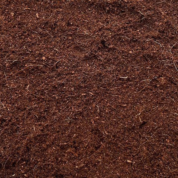 Coco Coir Washed & Buffered | Premium Organic Growing Medium | pH Balanced and Ready-to-Use | Ideal for Indoor and Outdoor Plants | (1L)